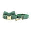 Dark Green Corduroy Set