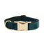 Dark Green Corduroy Set