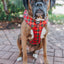 Dog Adjustable Harness - Deck the Paws