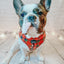 Dog Adjustable Harness - Deck the Paws