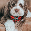Dog Adjustable Harness - Deck the Paws