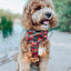 Dog Adjustable Harness - Deck the Paws