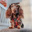 Dog Adjustable Harness - Deck the Paws