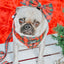 Dog Leash - Deck the Paws