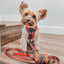 Dog Adjustable Harness - Deck the Paws