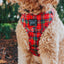 Dog Adjustable Harness - Deck the Paws
