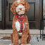 Dog Adjustable Harness - Deck the Paws