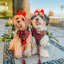 Dog Adjustable Harness - Deck the Paws