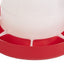 Little Giant Deluxe Hanging Feeder with Lid – 22 lb Capacity for Poultry & Chickens
