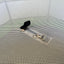 Hen Pen Deluxe Pop-Up Chick Brooder