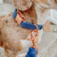 Dog Collar - Denim