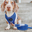 Dog Adjustable Harness - Denim