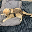 Diapurr Cat Diaper