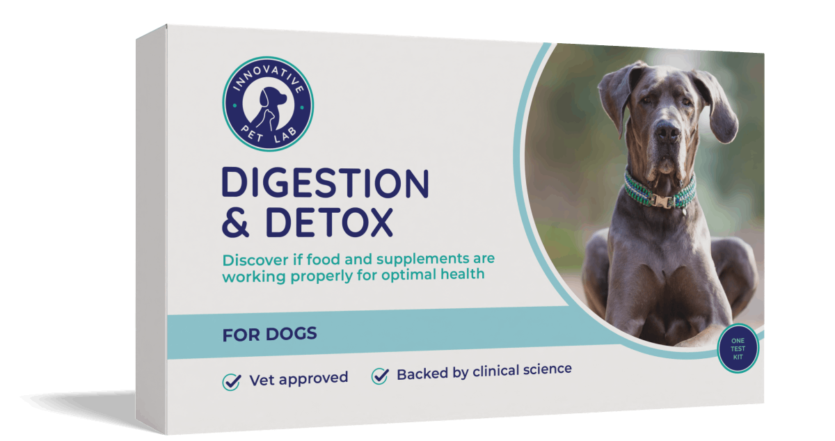 Digestion & Detox