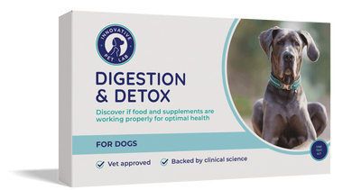 Digestion & Detox