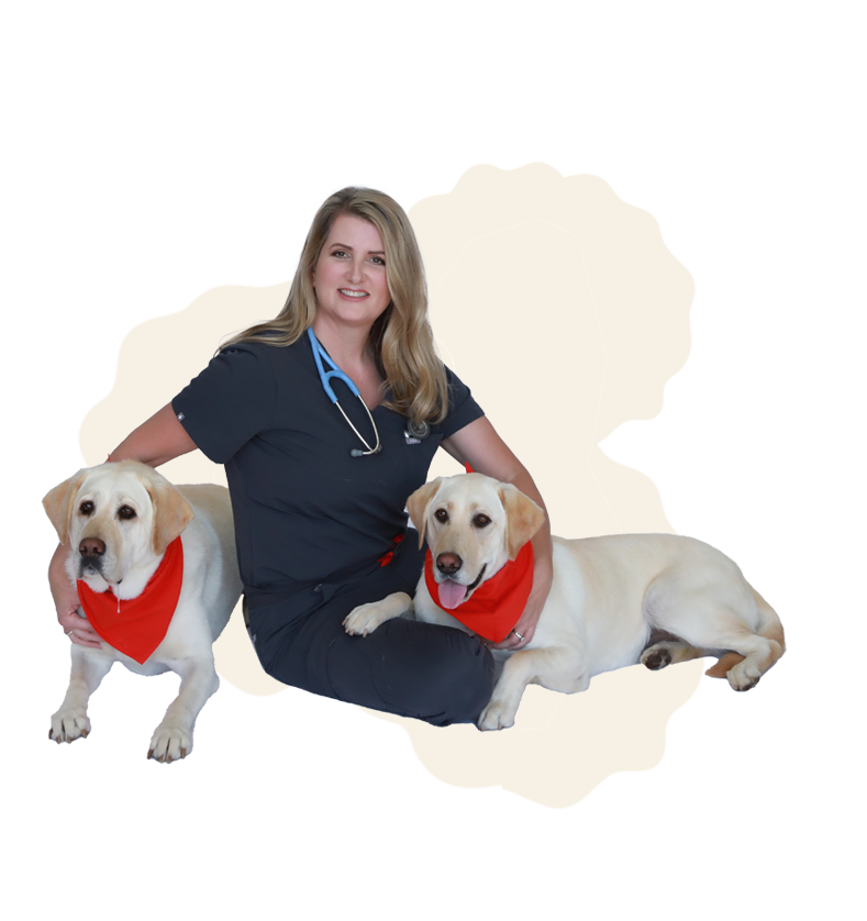 Pet Vet First Aid Guide Spiral Bound – Dog & Cat Emergency Handbook with CPR, Toxicity Charts & Step-by-Step First Aid Instructions