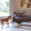 50 Inch Forever Dog Bed (Waterproof) - Terry Corduroy