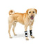 NeoAlly Dog Front Leg Brace with Reflective Straps - Metal Spring Inserts for Carpal Support (Pair)