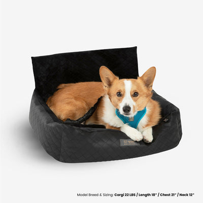 The Car Seat Leather M