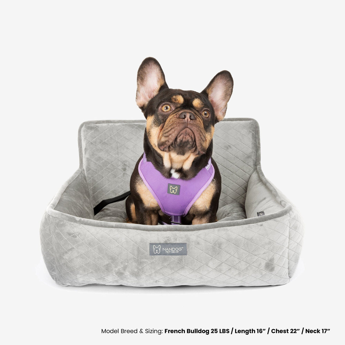 The Car Seat Pearl River Gray M