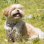 Dog Helios ® 'Dura-Tough' 2-in-1 Reflective Adjustable Fashion Dog Leash and Collar