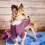 Dog Helios ® 'Eboneflow' Mediumweight 4-Way-Stretch Flexible And Breathable Performance Dog Yoga T-Shirt