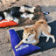 Dog Helios ® 'Expedition' Sporty Travel Camping Pillow Dog Bed