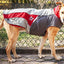 Dog Helios ® Lotus-Rusher 2-in-1 Dual-Removable Layered Performance Dog Jacket