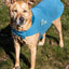 Dog Helios ® Lotus-Rusher 2-in-1 Dual-Removable Layered Performance Dog Jacket