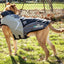 Dog Helios ® Lotus-Rusher 2-in-1 Dual-Removable Layered Performance Dog Jacket