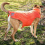 Dog Helios ® Lotus-Rusher 2-in-1 Dual-Removable Layered Performance Dog Jacket