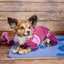Dog Helios ® 'Namastail' Lightweight 4-Way-Stretch Yoga Performance Dog Tracksuit Hoodie