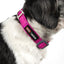 Dog Helios ® 'Neo-Indestructible' 2-in-1 Accordion Dog Collar and Leash