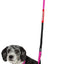 Dog Helios ® 'Neo-Indestructible' 2-in-1 Accordion Dog Collar and Leash
