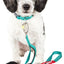 Dog Helios ® 'Neo-Indestructible' 2-in-1 Accordion Dog Collar and Leash