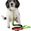 Dog Helios ® 'Neo-Indestructible' 2-in-1 Accordion Dog Collar and Leash