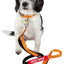 Dog Helios ® 'Neo-Indestructible' 2-in-1 Accordion Dog Collar and Leash