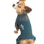 Dog Helios ® 'Rufflex' Mediumweight 4-Way-Stretch Fitness Yoga Dog Tracksuit Jacket
