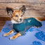 Dog Helios ® 'Rufflex' Mediumweight 4-Way-Stretch Fitness Yoga Dog Tracksuit Jacket