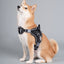 Dog Helios ® 'Scorpion' Sporty High-Performance Free-Range Dog Harness