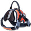 Dog Helios ® 'Scorpion' Sporty High-Performance Free-Range Dog Harness