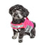 Dog Helios ® 'Tidal Guard' Multi-Point Strategically-Stitched Reflective Pet Dog Life Jacket Vest
