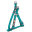 Dog Helios Sporty Nylon Leash and Harness