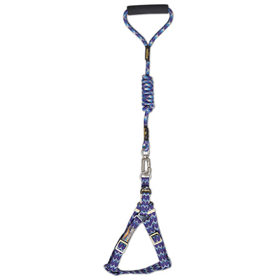Dog Helios 'Surfside' Adjustable Dog Harness and Leash