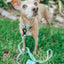 Dog Waterproof Leash - Green