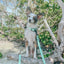 Dog Waterproof Leash - Green