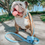 Dog Waterproof Leash - Blue
