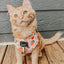Dog Adjustable Harness - Simply the Zest