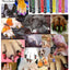 Pawdicure Polish Pens - Choose From 13 Colors! - Dog Nail Polish