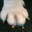 Pawdicure Polish Pens - Choose From 13 Colors! - Dog Nail Polish